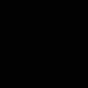 Meet your Posher, Ella